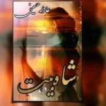 خرید و دانلود نسخه کامل رمان
 شاه بیت اثر عادله حسینی
