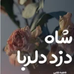 خرید و دانلود نسخه کامل رمان
 شاه دزد دلربا اثر فاطمه غلامی