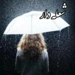 خرید و دانلود نسخه کامل رمان
 شعله دار اثری از لیلا زمانی(روژان-69)