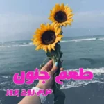 خرید و دانلود نسخه کامل رمان طعم جنون اثر مریم روح پرور