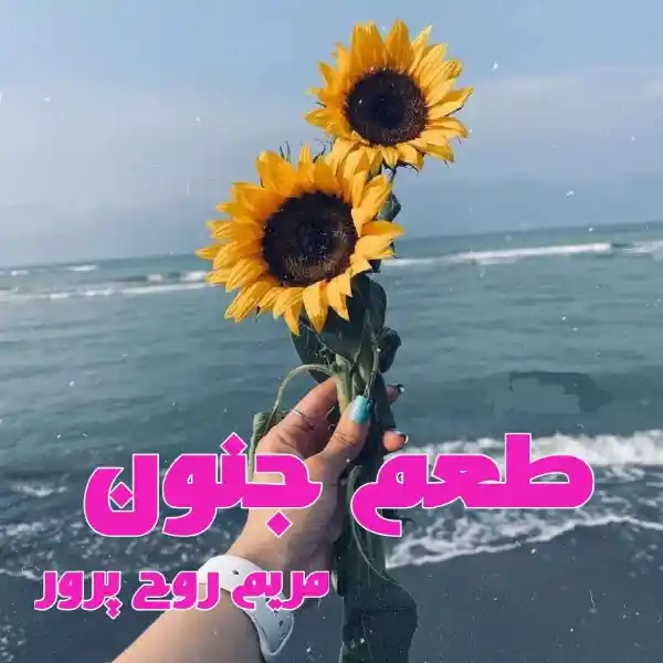 خرید و دانلود نسخه کامل رمان
طعم جنون اثر مریم روح پرور_6a5d8a3a71dba.webp خرید و دانلود نسخه کامل رمان طعم جنون اثر مریم روح پرور - تصویر 1