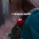 خرید و دانلود نسخه کامل رمان
 طعمه سرنوشت اثر نیلی