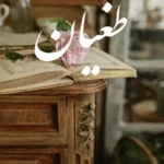 خرید و دانلود نسخه کامل رمان
 طغیان اثر دلیار