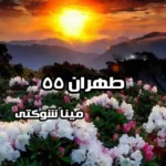 خرید و دانلود نسخه کامل رمان
 طهران 55 اثر مینا شوکتی