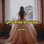 خرید و دانلود نسخه کامل رمان
 عروس کوچولوی من اثر ناشناس