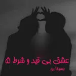 خرید و دانلود نسخه کامل رمان
 عشق بی قید و شرط جلد پنجم انجمن برادری خنجر سیاه