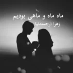 خرید و دانلود نسخه کامل رمان
 ما ماه و ماهی بودیم اثر زهرا ارجمندنیا