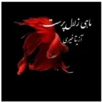 خرید و دانلود نسخه کامل رمان
 ماهی زلال پرست اثر آزیتا خیری