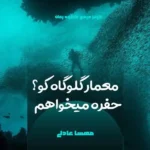 خرید و دانلود نسخه کامل رمان
 معمار گلوگاه کو؟ حفره میخواهم | مهسا عادلی