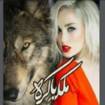 خرید و دانلود نسخه کامل رمان
 ملکه باکره دوجلد در یک فایل اثر کریستین اشلی