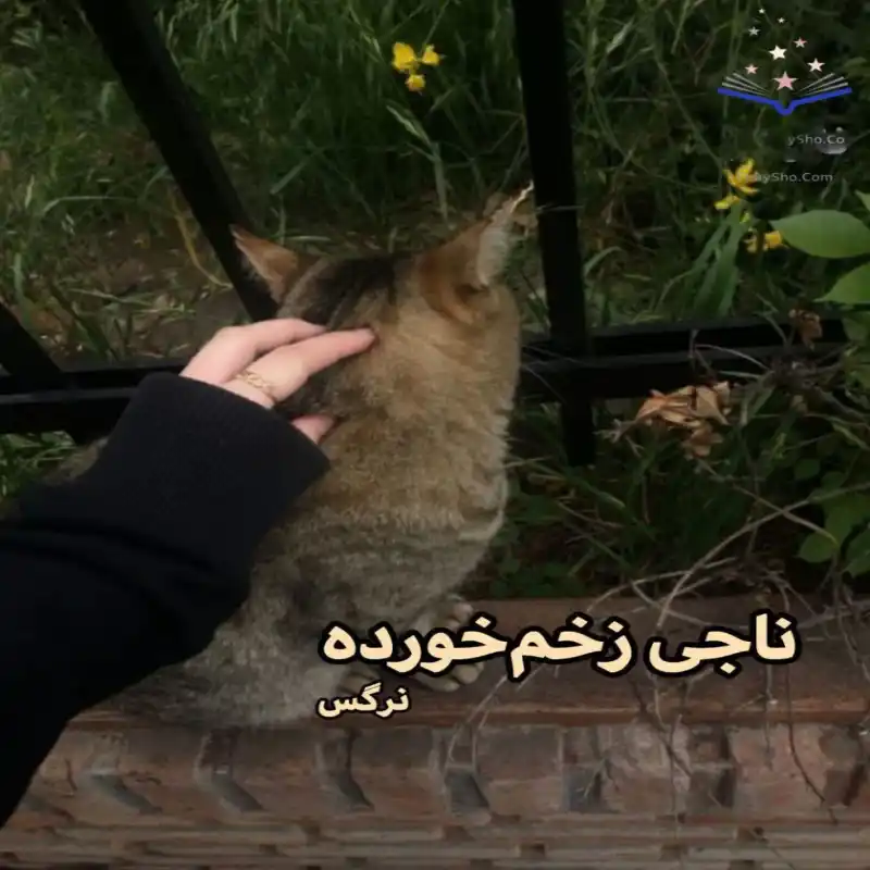خرید و دانلود نسخه کامل رمان
ناجی زخم خورده اثر نرگس_6a5d84a9342ab.webp خرید و دانلود نسخه کامل رمان
ناجی زخم خورده اثر نرگس - تصویر 1