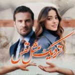 خرید و دانلود نسخه کامل رمان نزدیک مثل نفس اثر زینب علی پور
