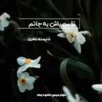خرید و دانلود نسخه کامل رمان نفس باش به جانم اثر شایسته نظری