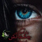 خرید و دانلود نسخه کامل رمان
 پارادوکس چشمانش اثر آلما شایسته