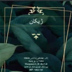 خرید و دانلود نسخه کامل رمان ژیکان اثر میم.ز