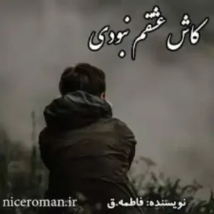 خرید و دانلود نسخه کامل رمان
 کاش عاشقم نبودی اثر فاطمه_ق