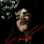 خرید و دانلود نسخه کامل رمان
 کاکتوس اثر زینب عامل