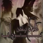 خرید و دانلود نسخه کامل رمان
 کلاغ سفید در مرداب اثر بهار سلطانی
