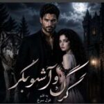 خرید و دانلود نسخه کامل رمان
 گرگ و آشوبگر اثر غزل سرخ