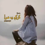 خرید و دانلود نسخه کامل رمان
 گرگم به هوا اثر مریم روح پرور