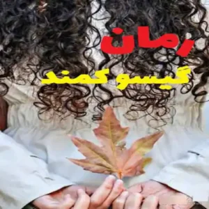 خرید و دانلود نسخه کامل رمان
 گیسوکمند اثر نگین حبیبی جلد دوم