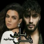 خرید و دانلود نسخه کامل رمان
 یار و یاور اثر آسمان 65 (آزاده امانی)