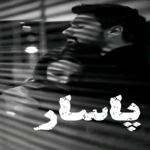 خرید و دانلود نسخه کامل رمان پاسار اثر الف کلانتری