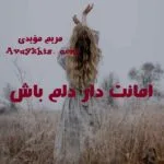 خرید و دانلود نسخه کامل رمان
دانلود pdf  امانت دار دلم باش
