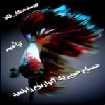 خرید و دانلود نسخه کامل رمان
دانلود pdf  تمساح خونی یک آکواریوم را بلعید اثر نگار_قاف