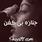 خرید و دانلود نسخه کامل رمان جنازه ی بی کفن