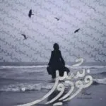 خرید و دانلود نسخه کامل رمان
دانلود pdf  فودوشین