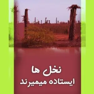 خرید و دانلود نسخه کامل رمان
دانلود pdf  نخل ها ایستاده می‌میرند اثر مهسا باقری