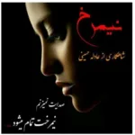 خرید و دانلود نسخه کامل رمان
دانلود pdf  نیمرخ از عادله حسینی