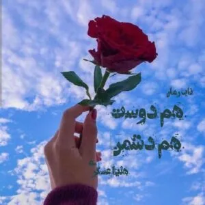 خرید و دانلود نسخه کامل رمان
دانلود pdf  هم دوست هم دشمن