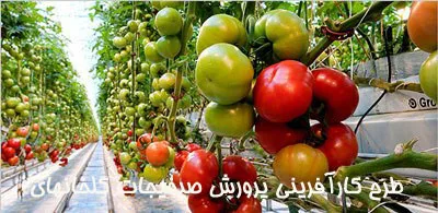 خرید و دانلود نسخه کامل طرح کارآفرینی پرورش صیفی جات گلخانهای_6a664a24a12d1.jpeg خرید و دانلود نسخه کامل طرح کارآفرینی پرورش صیفی جات گلخانهای - تصویر 1