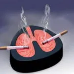 خرید و دانلود نسخه کامل کارآموزی کامپیوتر نقش IT و شبکه در دخانیات