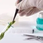 خرید و دانلود نسخه کامل کارورزی زراعت و اصلاح نباتات ایستگاه تحقیقات و اصلاح نهال و بذر استان گلستان