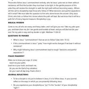 خرید و دانلود نسخه کامل کتاب 40 Day Journey with Dietrich Bonhoeffer