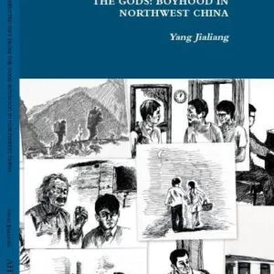 خرید و دانلود نسخه کامل کتاب A GIFT FROM THE GODS: BOYHOOD IN NORTHWEST CHINA 上苍之礼:一个中国西北少年的成长故事