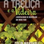 خرید و دانلود نسخه کامل کتاب A Treliça e a Videira: a mentalidade de discipulado que muda tudo