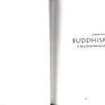 خرید و دانلود نسخه کامل کتاب A Very Short Introduction of Buddhism