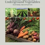 خرید و دانلود نسخه کامل کتاب 
Abiotic Stress in Underground Vegetables: Response and Mitigation