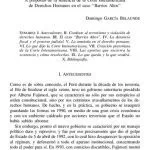 خرید و دانلود نسخه کامل کتاب Amnistía y derechos humanos. A propósito de la sentencia de la Corte Interamericana de Derechos Humanos en el caso” Barrios Altos