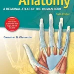 خرید و دانلود نسخه کامل کتاب Anatomy: A Regional Atlas of the Human Body (ANATOMY, REGIONAL ATLAS OF THE HUMAN BODY (CLEMENTE))