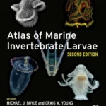 خرید و دانلود نسخه کامل کتاب 
Atlas of Marine Invertebrate Larvae 2nd Edition