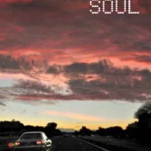 خرید و دانلود نسخه کامل کتاب Australian Soul: Religion and Spirituality in the 21st Century