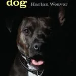 خرید و دانلود نسخه کامل کتاب Bad Dog: Pit Bull Politics and Multispecies Justice