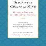 خرید و دانلود نسخه کامل کتاب Beyond the Ordinary Mind: Dzogchen, Rimé, and the Path of Perfect Wisdom