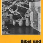 خرید و دانلود نسخه کامل کتاب Bibel und Archäologie