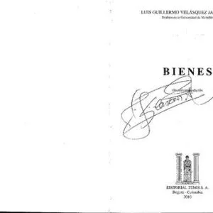 خرید و دانلود نسخه کامل کتاب Bienes